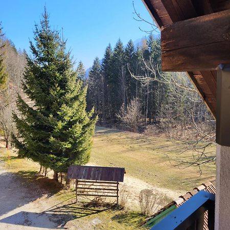 Apartment Dobnikar Kranjska Gora Exteriér fotografie