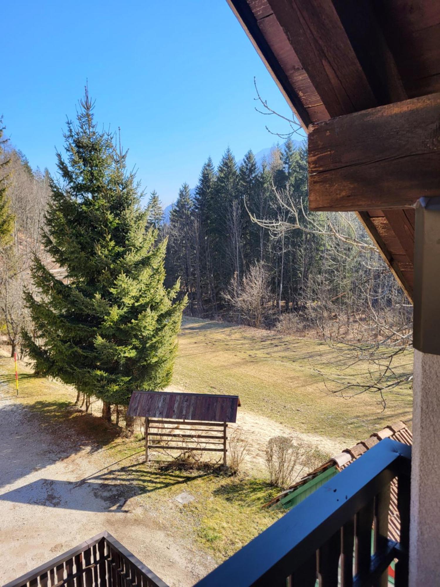 Apartment Dobnikar Kranjska Gora Exteriér fotografie
